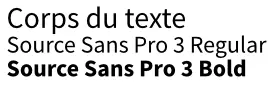BunnyTech - Typographie corps du site - Gautrand Assainissement